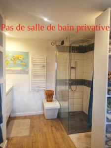 uma casa de banho com uma cabina de duche em vidro e um WC. em Le Puech et vous em Saint-André-de-Majencoules