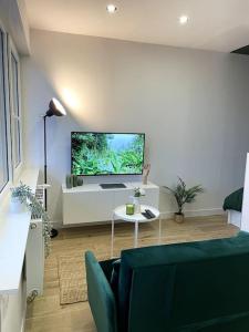 a living room with a flat screen tv on a wall at HOME GREEN TOUCH - Fibre*Near Basel*Cosy in Saint-Louis