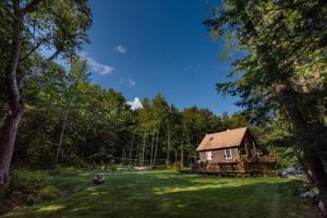 a log cabin in the middle of a forest at Dream Stratton Forest Cabin with Hot Tub and Fast WiFi in Stratton