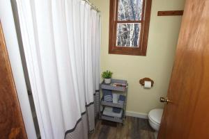 a bathroom with a toilet and a shower curtain at Dream Stratton Forest Cabin with Hot Tub and Fast WiFi in Stratton