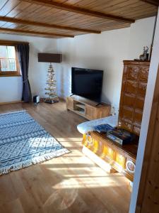 a living room with a television and a christmas tree at Casa Plaun Martin in Ruschein