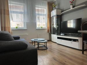 ライプツィヒにある3 room apartment center eastのソファと薄型テレビのあるリビングルーム