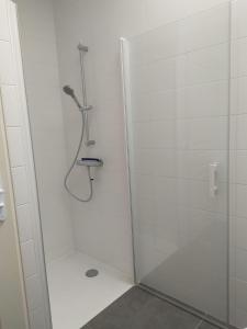 um chuveiro com uma porta de vidro na casa de banho em La Grillère em Conliège