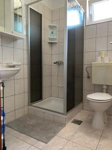 a bathroom with a shower with a toilet and a sink at Apartments Jaca in Rab