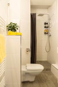 La salle de bains est pourvue d'une douche et de toilettes. dans l'établissement Stylish Loft Apartment plus SelfCheckIn plus Street Parking, à Berlin