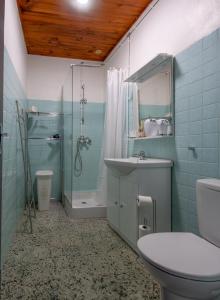 La salle de bains est pourvue d'une douche, d'un lavabo et de toilettes. dans l'établissement Casa Calma - Maison à proximité des plages, à Figari