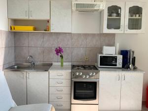 Kuchyňa alebo kuchynka v ubytovaní Apartments Jaca