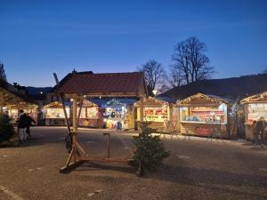 eine Ausstellung von Weihnachtslichtern auf einem Markt in der Unterkunft Le Trésor des Vosges Appartement spacieux et lumineux 80m2 idéal famille 4 à 6 personnes in Gérardmer