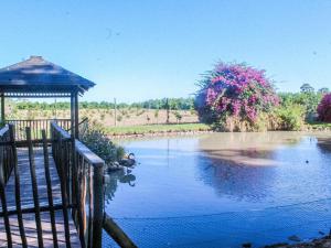 a pond with a gazebo and two ducks in it at Bydand Guest House in Addo