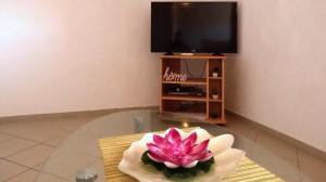TV a/nebo společenská místnost v ubytování Apartment Daca