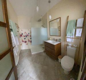 a bathroom with a sink and a toilet and a mirror at Manoir des Roches 41 in Bourré