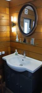 ein Bad mit einem Waschbecken und einem Spiegel in der Unterkunft Le Petit Cavron in Cavron-Saint-Martin
