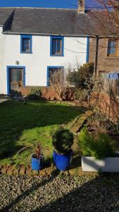 una casa con dos macetas azules en el patio delantero en Kildonan cottage, en Johnshaven
