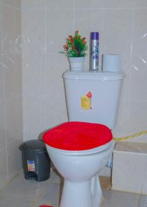 a bathroom with a toilet with a red seat at Janos Luxury in Kisumu