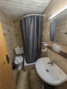 a bathroom with a sink and a toilet and a shower at Hotel Sonnenmatte Titisee B und B nahe Badeparadies in Titisee