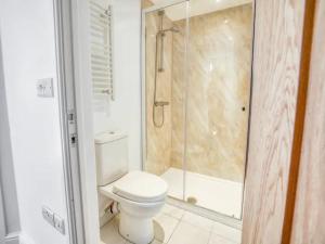 a bathroom with a white toilet and a shower at Pass the Keys Spacious Flat in the City Centre in Lincoln