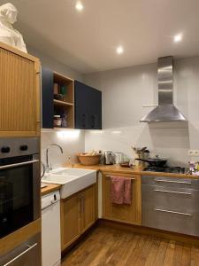 cocina con fregadero y fogones en Duplex avec Terrasse proche JO, en Le Pré-Saint-Gervais