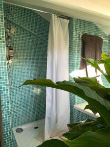 La salle de bains est pourvue d'une douche avec rideau de douche blanc. dans l'établissement Duplex avec Terrasse proche JO, à Le Pré-Saint-Gervais