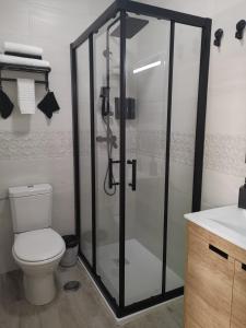 uma casa de banho com um chuveiro, um WC e um lavatório. em Suit Garden Huelva em Aljaraque