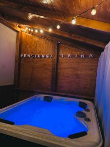 a large blue tub in a room with lights at Pensiunea Irina Maramureș in Deseşti