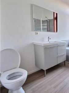 a white bathroom with a toilet and a sink at Jumet 242 C Bruxelles-Charleroi-airport in Charleroi +7 photos
