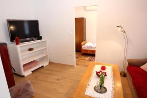 a living room with a tv and a coffee table at Kmečka hiša Rodica in Domžale