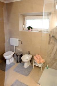 ein Bad mit einem WC und einem Waschbecken in der Unterkunft Kmečka hiša Rodica in Domžale