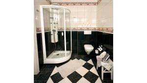 a bathroom with a shower and a toilet at Kapitänsapartment der Villa Kaethe in Rostock