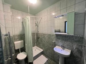 een badkamer met een wastafel, een toilet en een douche bij Casa Verde in Videle