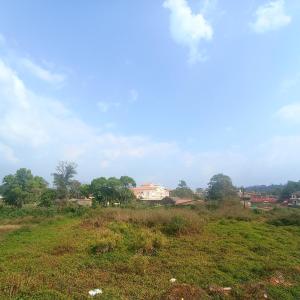 a field of grass with a building in the background at Misty Homes in Madikeri