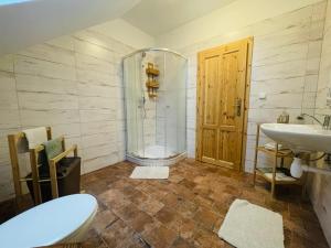 a bathroom with a shower and a sink and a toilet at Penzion U Hánů in Meclov