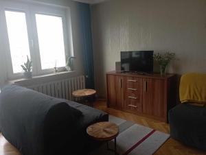 Μια τηλεόραση ή/και κέντρο ψυχαγωγίας στο Apartament przy Ergo +8 φωτογραφίες
