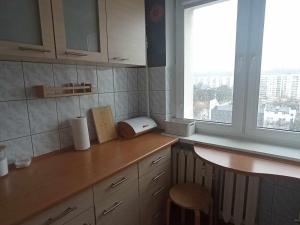 Η κουζίνα ή μικρή κουζίνα στο Apartament przy Ergo