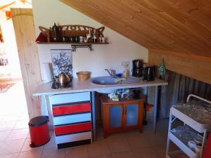 a kitchen with a counter and a sink in a room at 1-Zimmer-Studio am Waldrand in Hammelbach