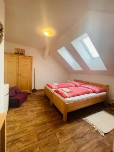 a bedroom with a bed and a skylight at Penzion U Hánů in Meclov