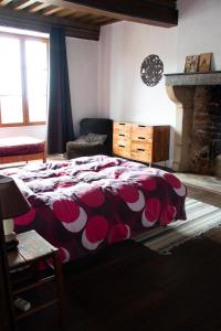 a bedroom with a large bed and a fireplace at Grand logement (+ jardin surélevé) in Montcenis