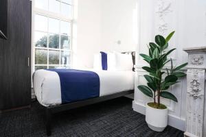 um quarto com uma cama e um vaso de plantas em Stylish Studio in Historic Boston - Unit #209 em Boston