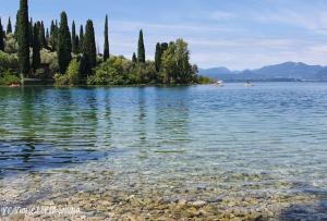 a large body of water with trees on the shore at Hotel Gabbiano - Garda Lake Collection in Garda