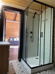 a glass shower door in a bathroom with at Вілла Розмарія in Yaremche