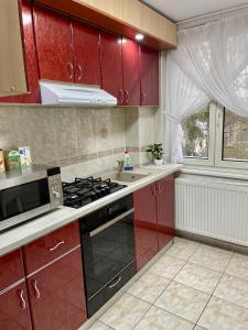 een keuken met rode kasten en een fornuis met oven bij Central Cozy Apartament Near Monastery in Suceava