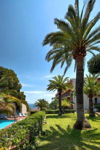 een groep palmbomen in een park naast een zwembad bij Bonanza Park Hotel by Olivia Hotels Collection in Illetas