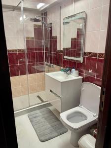 y baño con ducha, aseo y lavamanos. en Central Cozy Apartament Near Monastery, en Suceava