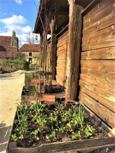 a garden with plants in a wooden building at Le Haut Repaire in Coubjours