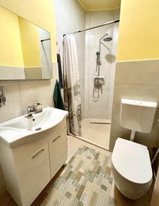 uma casa de banho com um lavatório e um chuveiro. em AD BASANTE em Bosanski Šamac