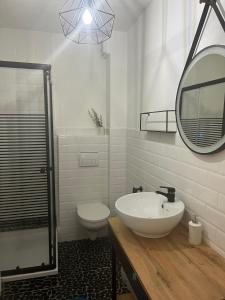 a bathroom with a sink and a toilet and a mirror at Atelierhaus Hilmsen 