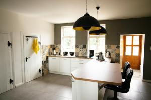 a kitchen with a table and a black pendant light at Atelierhaus Hilmsen in Wallstawe