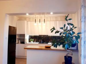 a kitchen with white cabinets and a potted plant at Apartament u Anielki in Uniejow +9 photos