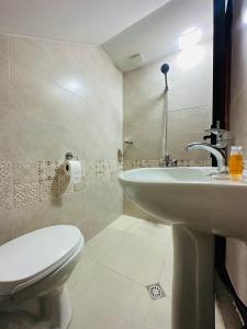 y baño con aseo blanco y lavamanos. en Guest House MARGALITI-საოჯახო სასტუმრო მარგალიტი en Omalo