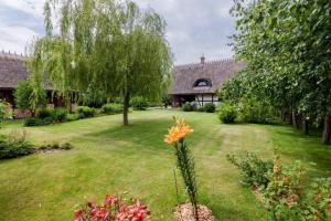 a yard with a house and a tree at REETDACH FERIENHAUS IN GĄSKI MIT GEPFLEGTEM GARTEN in Gąski