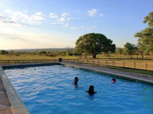 Bazén v ubytování AfriCamps Waterberg nebo v jeho okolí